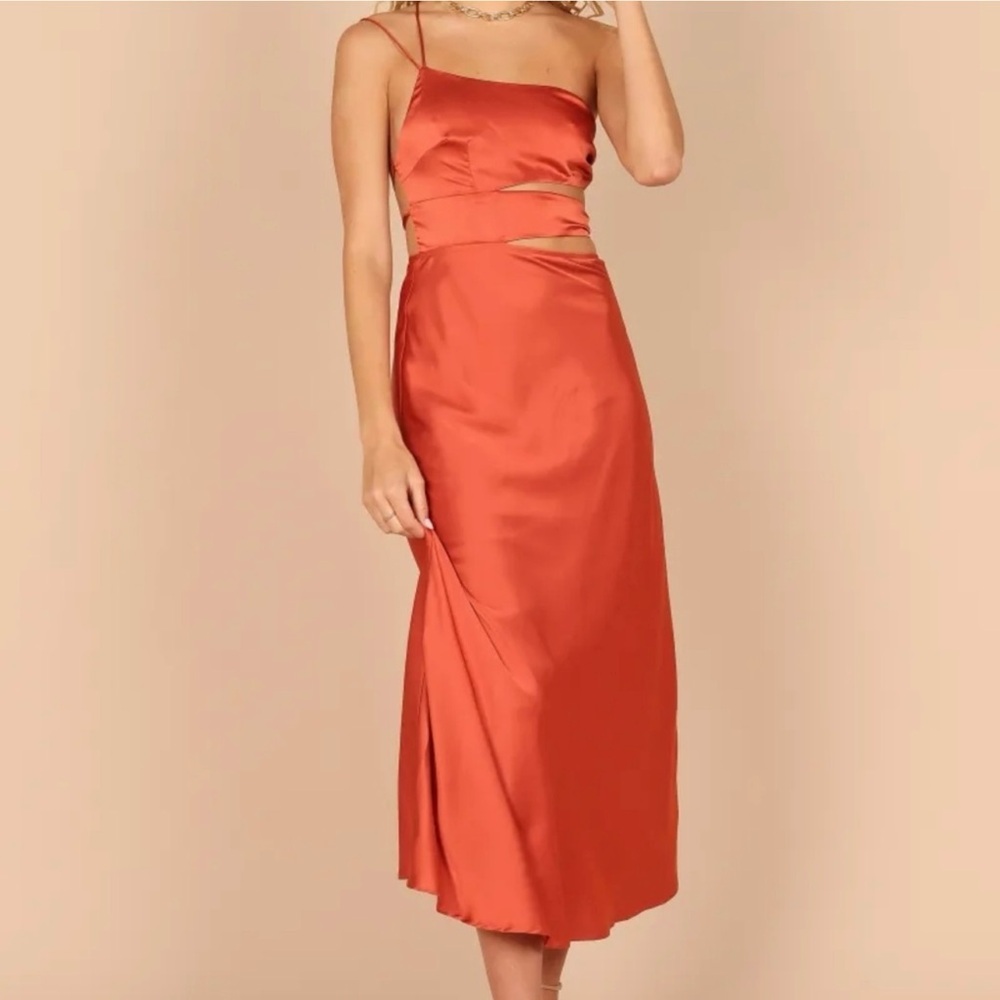 NWT Petal & Pup Strapless Rust Dress